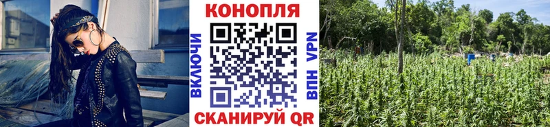 Где найти наркотики Княгинино Кокаин Alpha PVP ГАШ Амфетамин Мефедрон