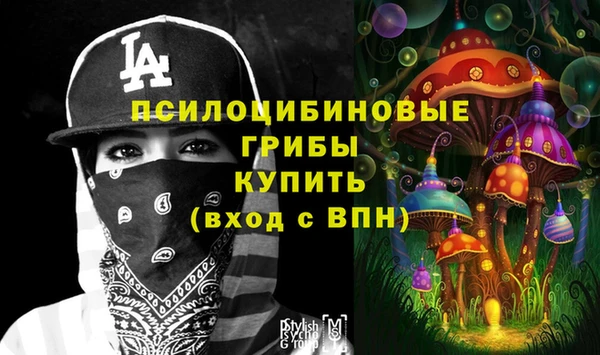 прущая мука Нея