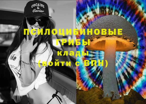 spice Тобольск
